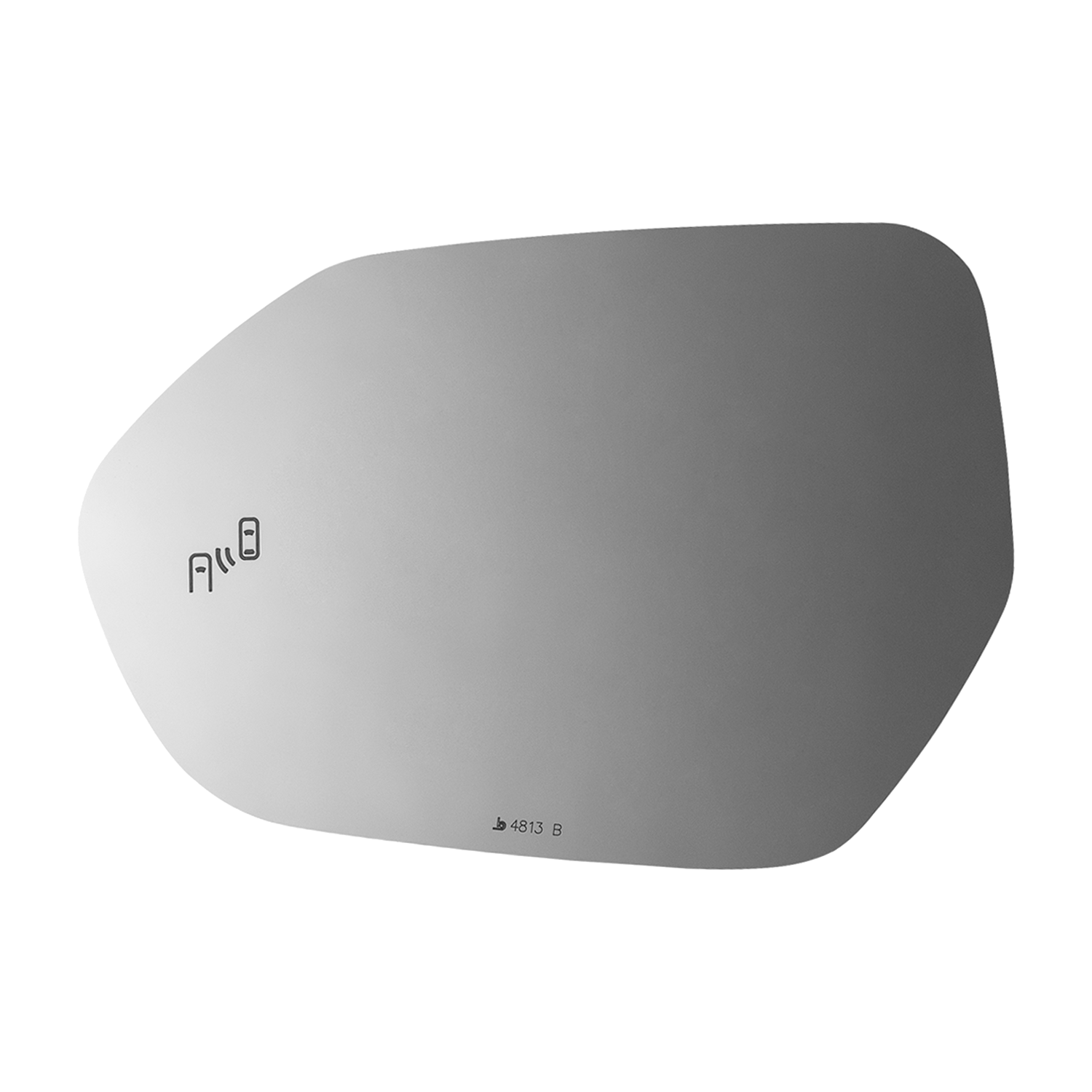 SIDE VIEW MIRROR W BLIND SPOT